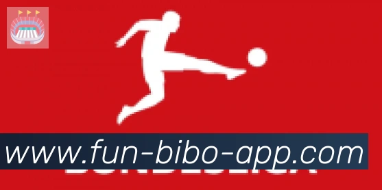 必博bibo官网体育合作伙伴